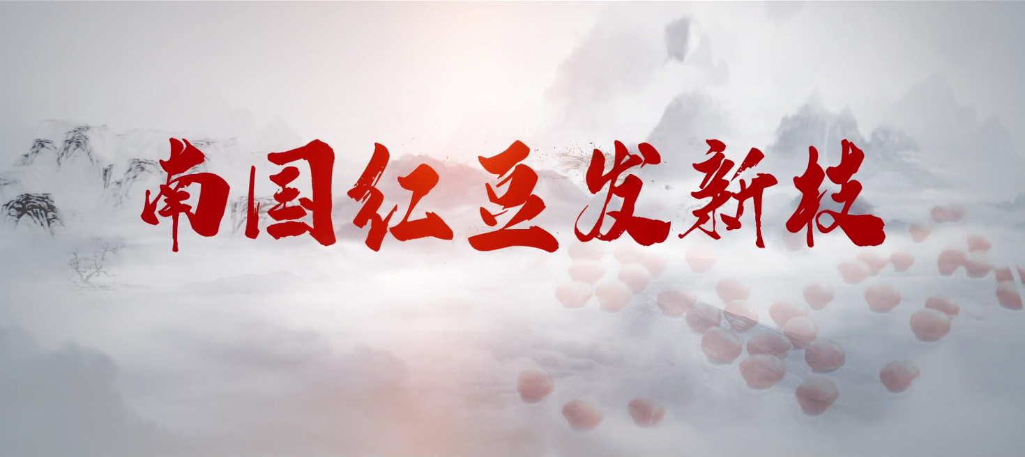 南国mksport体育发新枝